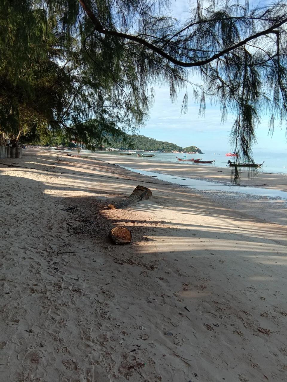 Prik Thai Resort Ko Tao Exterior foto